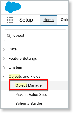 co_UsingSFIntegration_CustomFields_ObjectManager.png